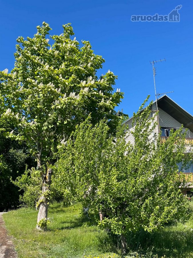  Išpuoselėta aplinka ir keli sklypai: namų - nuotraukos Nr. 7