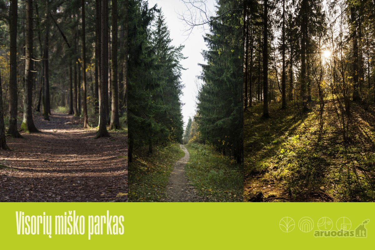 „Miško sprintas“ – tai namai, kuriuose - nuotraukos Nr. 27