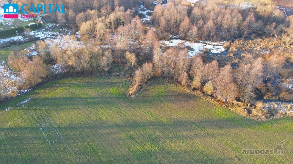 Vaizdingoje ir gražioje vietovėje parduodami - nuotraukos Nr. 10