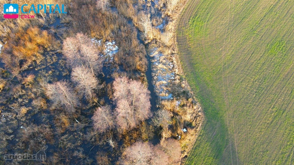 Vaizdingoje ir gražioje vietovėje parduodami - nuotraukos Nr. 12