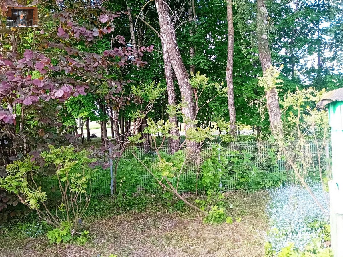 Nuo Panevėžio miesto 15 km., iki kiemo - nuotraukos Nr. 8