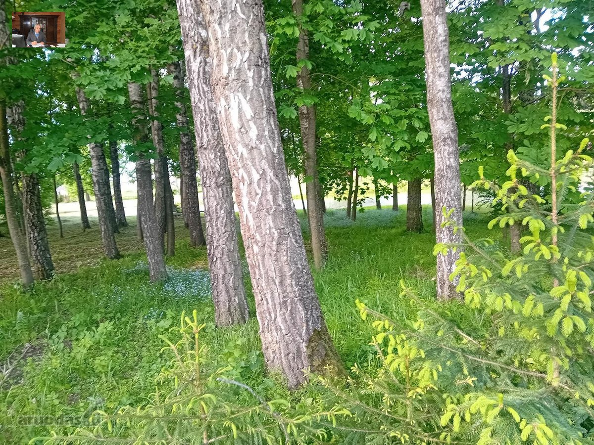 Nuo Panevėžio miesto 15 km., iki kiemo - nuotraukos Nr. 6
