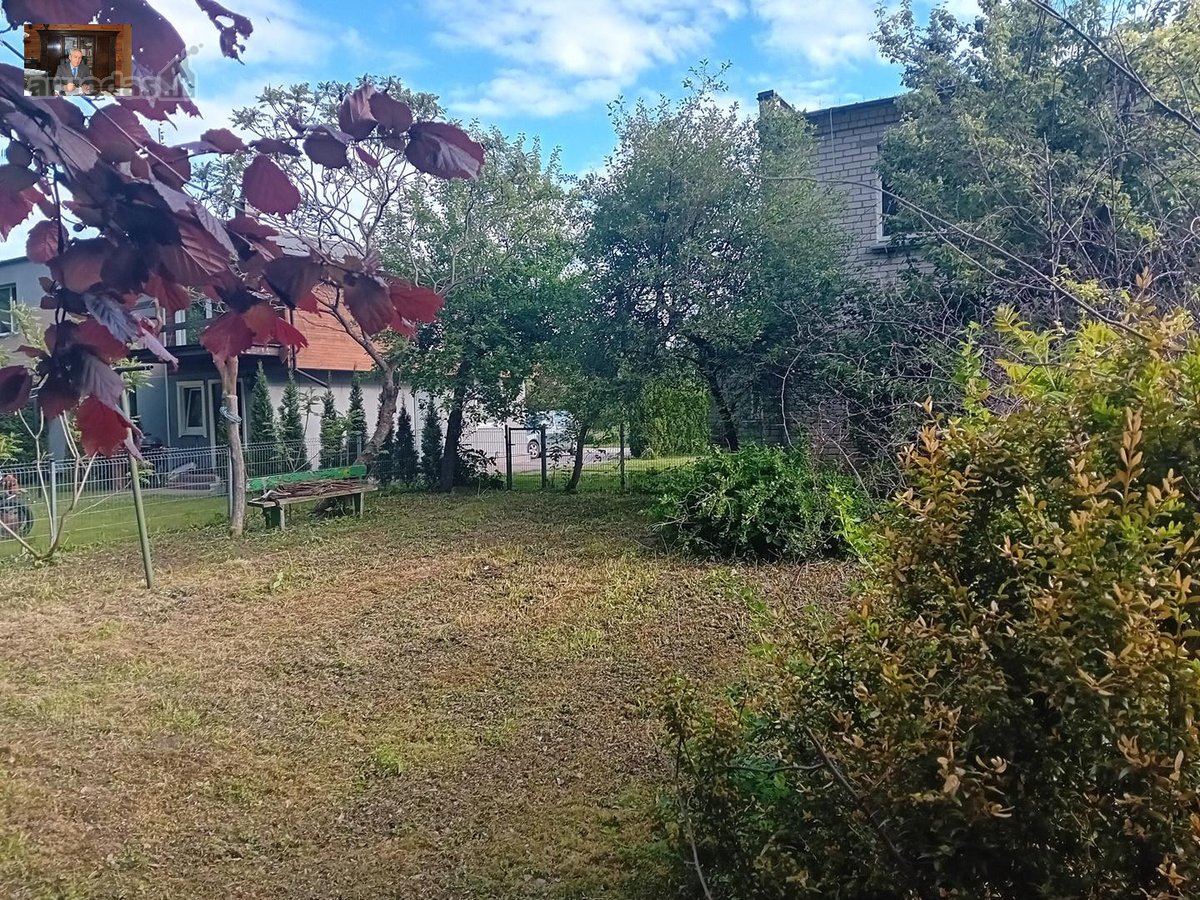 Nuo Panevėžio miesto 15 km., iki kiemo - nuotraukos Nr. 5