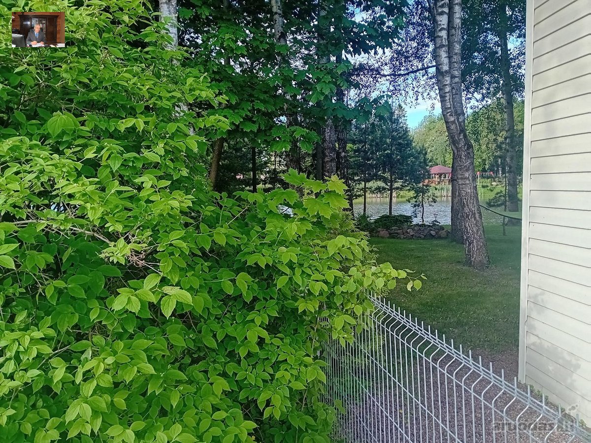 Nuo Panevėžio miesto 15 km., iki kiemo - nuotraukos Nr. 2
