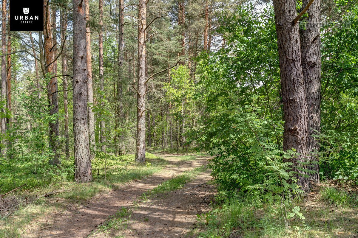 Namų Valdos Sklypas Su Statybos Leidimu Ir - nuotraukos Nr. 18
