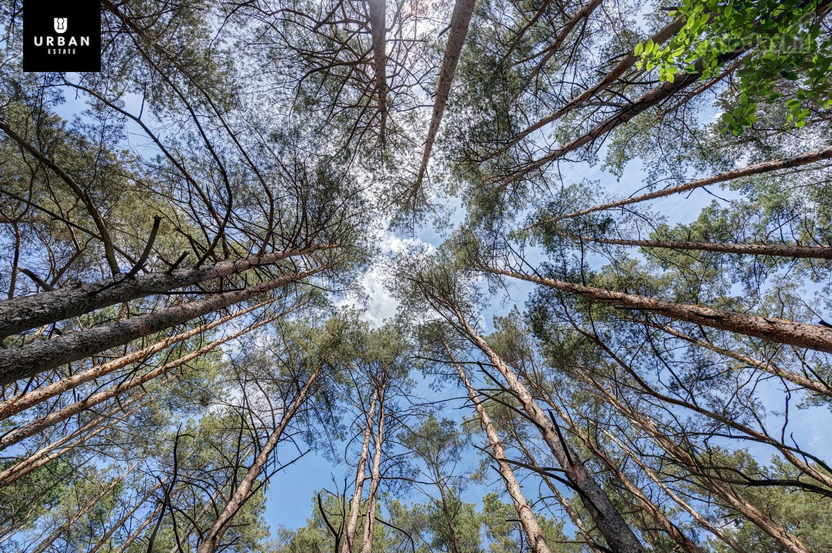 Namų Valdos Sklypas Su Statybos Leidimu Ir - nuotraukos Nr. 19