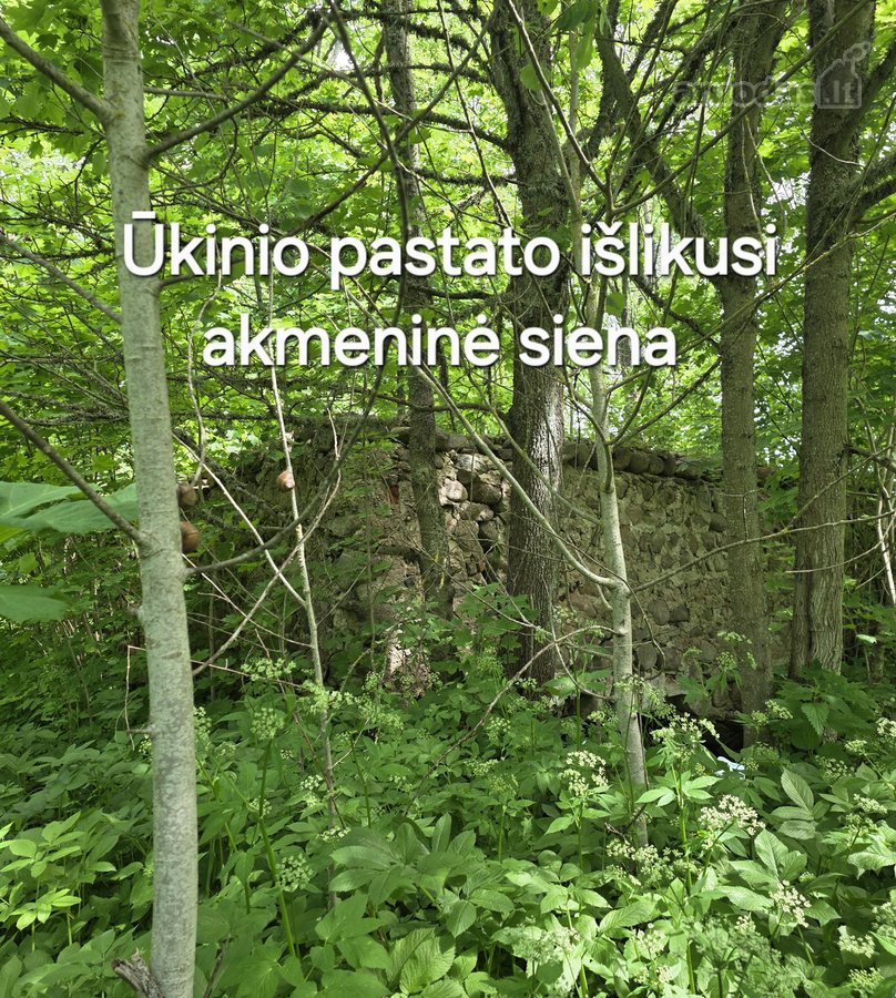 Ignalinos rajone, Dūdų kaime, parduodamas - nuotraukos Nr. 18