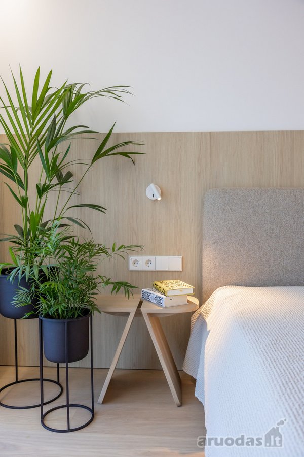 Tikrosios Palangos širdyje, vos keli - nuotraukos Nr. 8