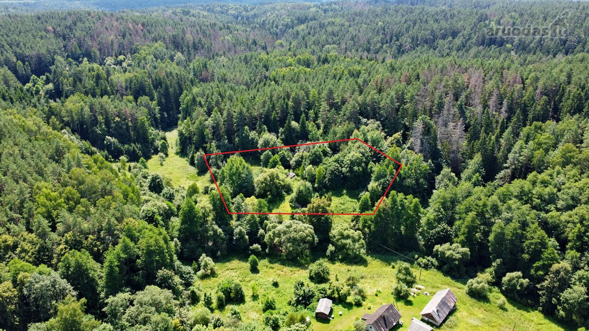 Parduodami, du įspūdingi sklypai Vienkiemių g
