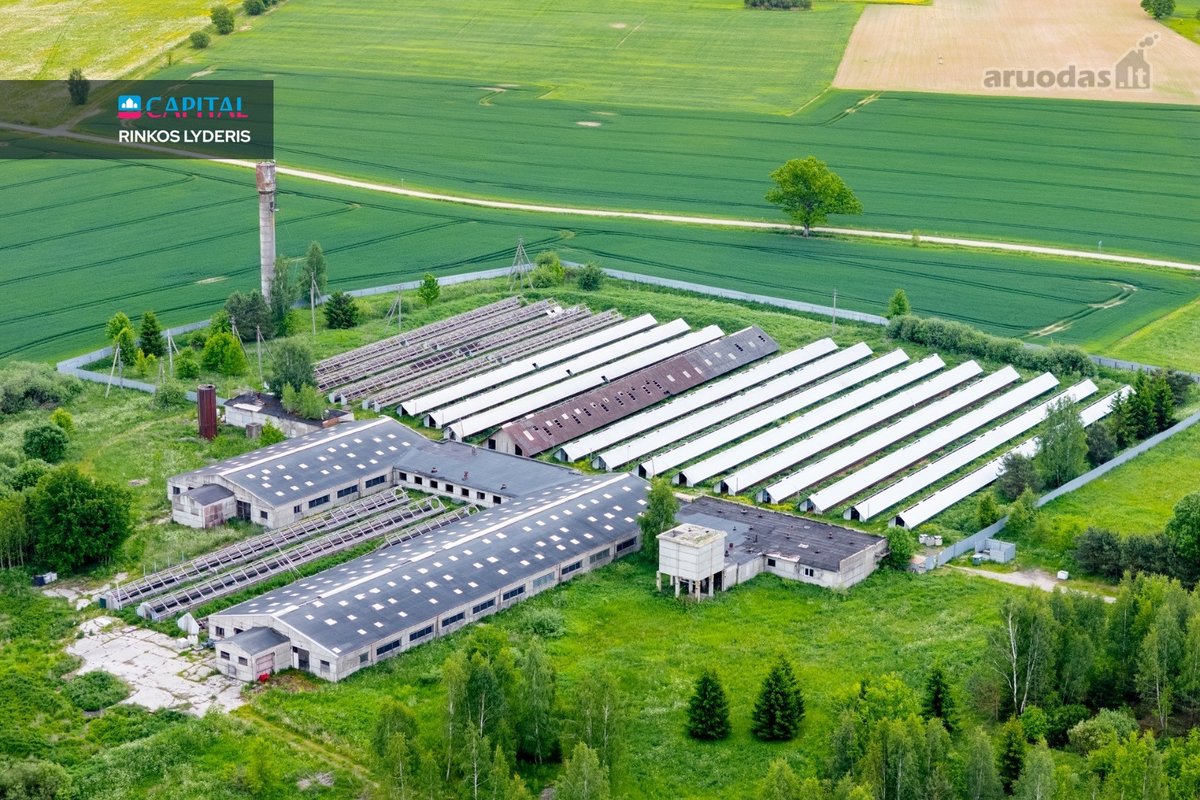 Parduodamas 5 ha sklypas su statiniais - 3596 m²