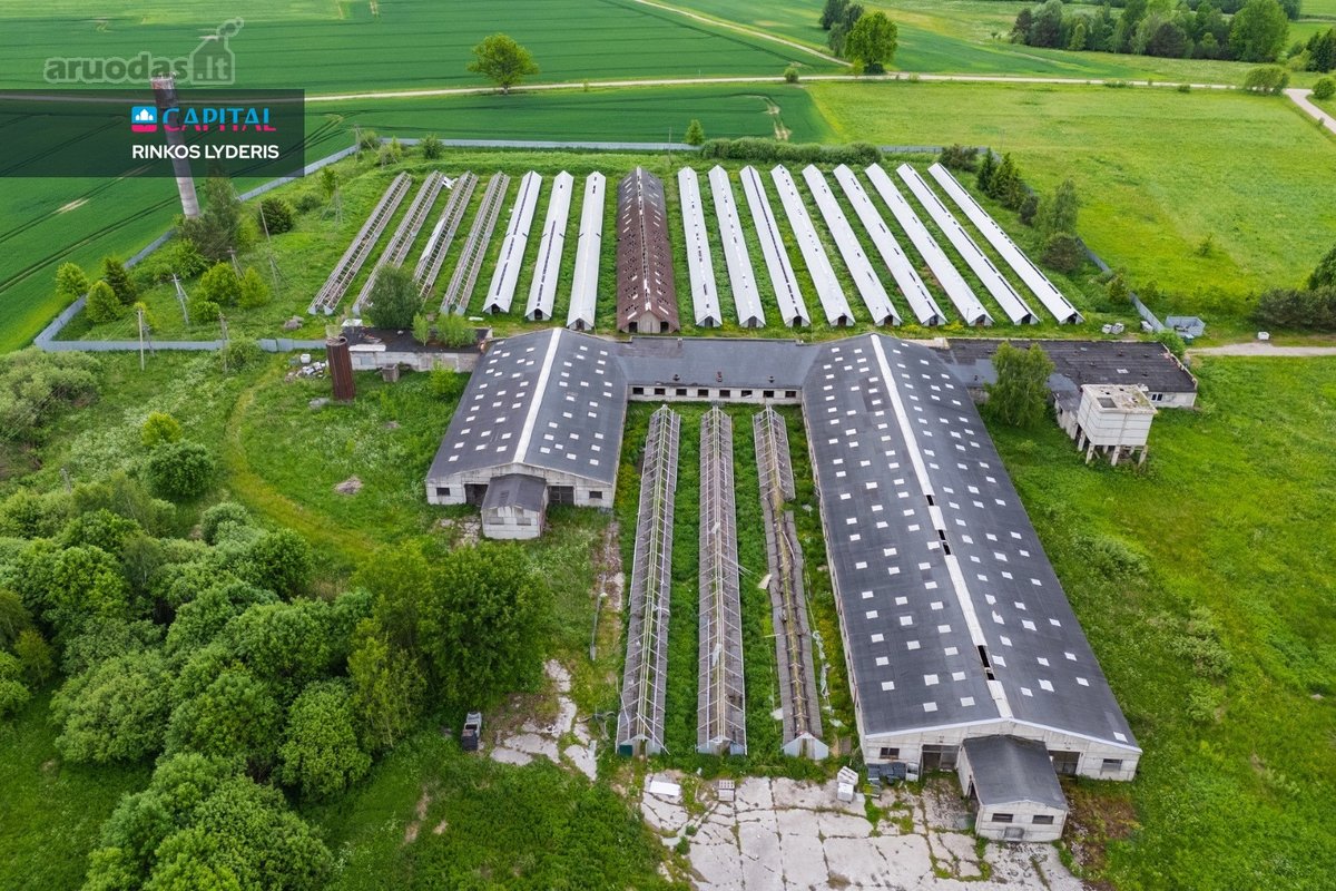 Parduodamas 5 ha sklypas su statiniais - 3596 m² - nuotraukos Nr. 2
