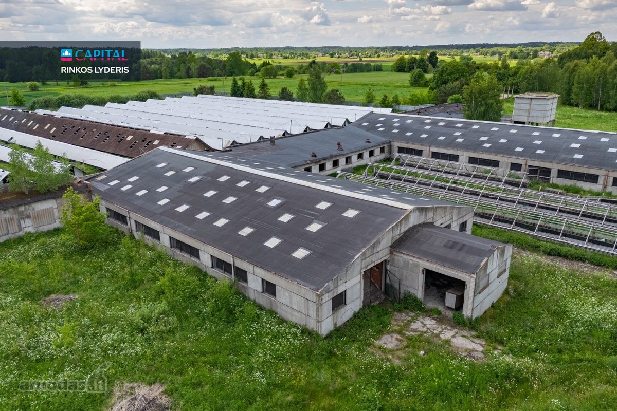 Parduodamas 5 ha sklypas su statiniais - 3596 m² - nuotraukos Nr. 3