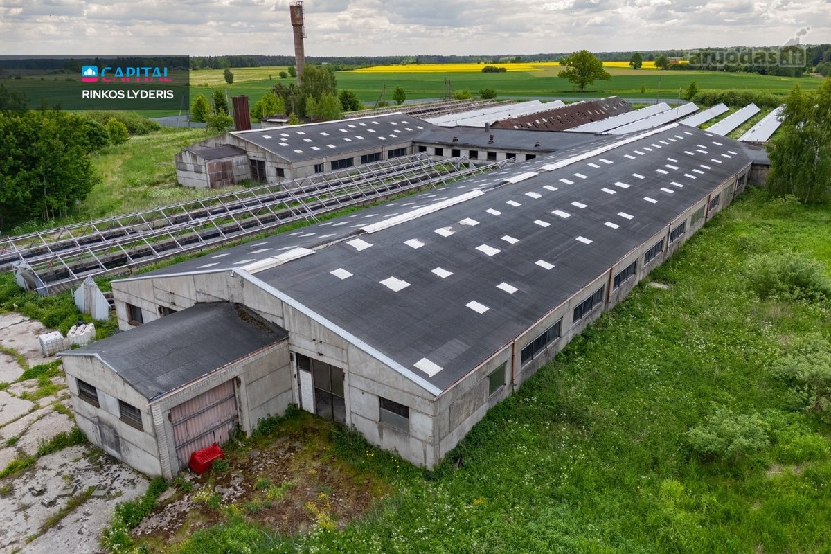 Parduodamas 5 ha sklypas su statiniais - 3596 m² - nuotraukos Nr. 4