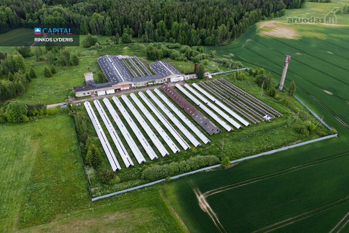 Parduodamas 5 ha sklypas su statiniais - 3596 m² - nuotraukos Nr. 5