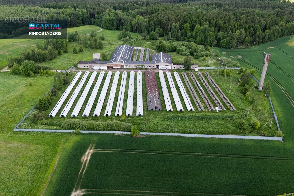 Parduodamas 5 ha sklypas su statiniais - 3596 m² - nuotraukos Nr. 6