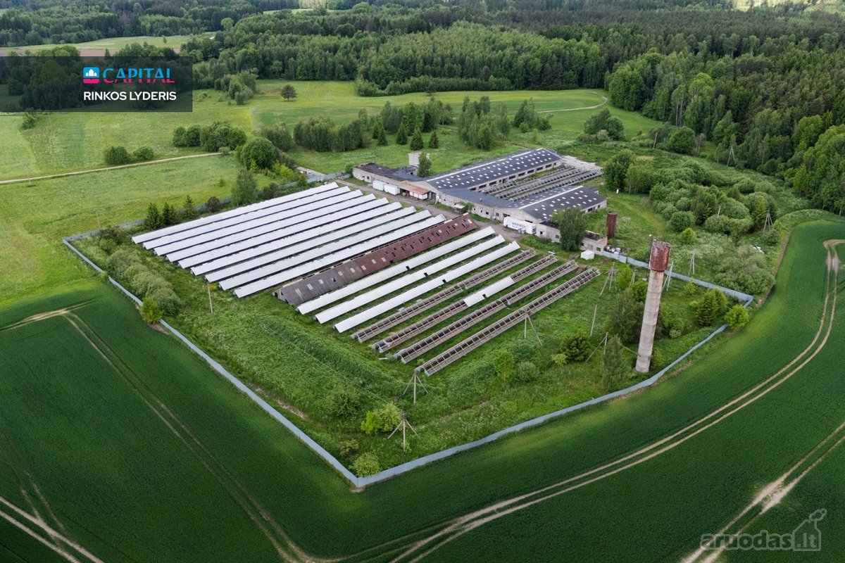 Parduodamas 5 ha sklypas su statiniais - 3596 m² - nuotraukos Nr. 7