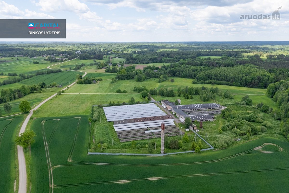 Parduodamas 5 ha sklypas su statiniais - 3596 m² - nuotraukos Nr. 8