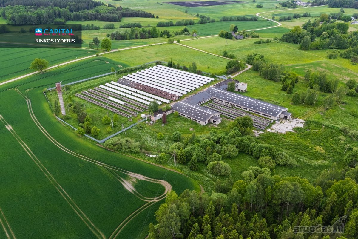 Parduodamas 5 ha sklypas su statiniais - 3596 m² - nuotraukos Nr. 9