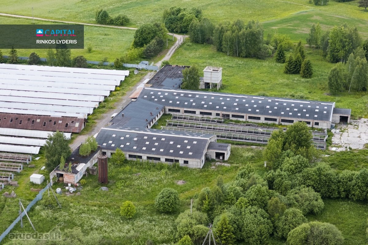 Parduodamas 5 ha sklypas su statiniais - 3596 m² - nuotraukos Nr. 10