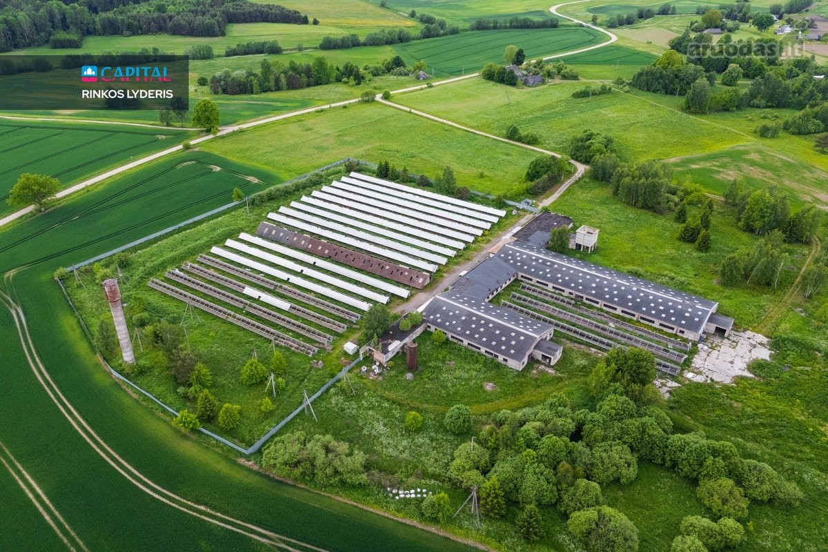 Parduodamas 5 ha sklypas su statiniais - 3596 m² - nuotraukos Nr. 11