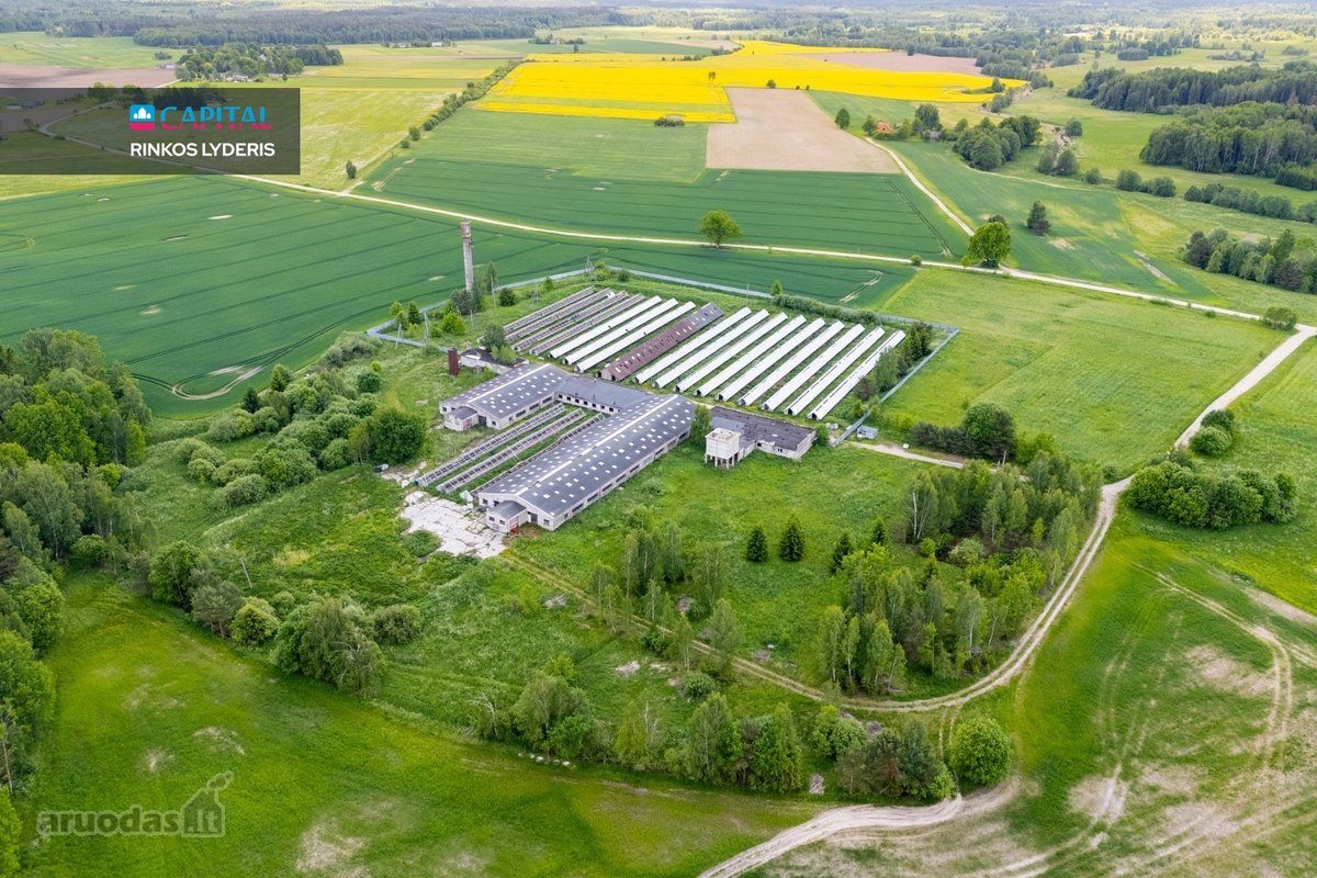 Parduodamas 5 ha sklypas su statiniais - 3596 m² - nuotraukos Nr. 12