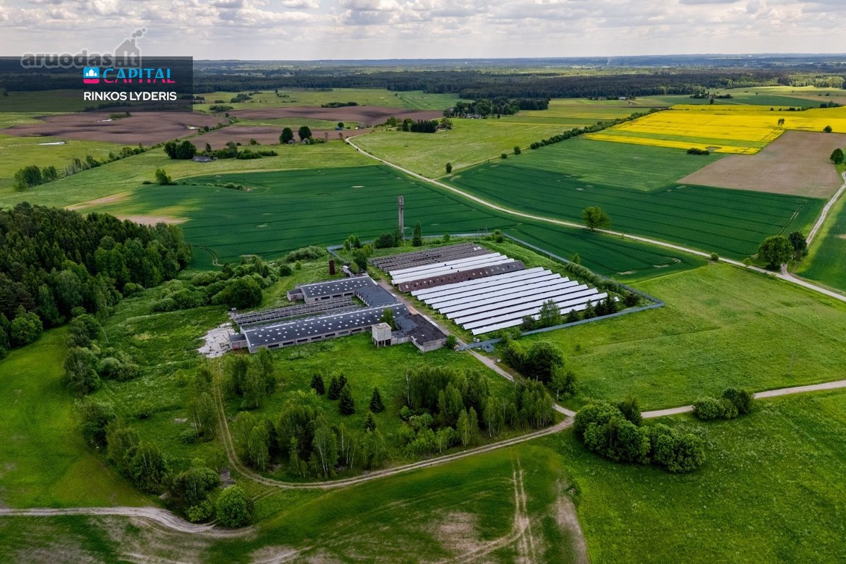 Parduodamas 5 ha sklypas su statiniais - 3596 m² - nuotraukos Nr. 14