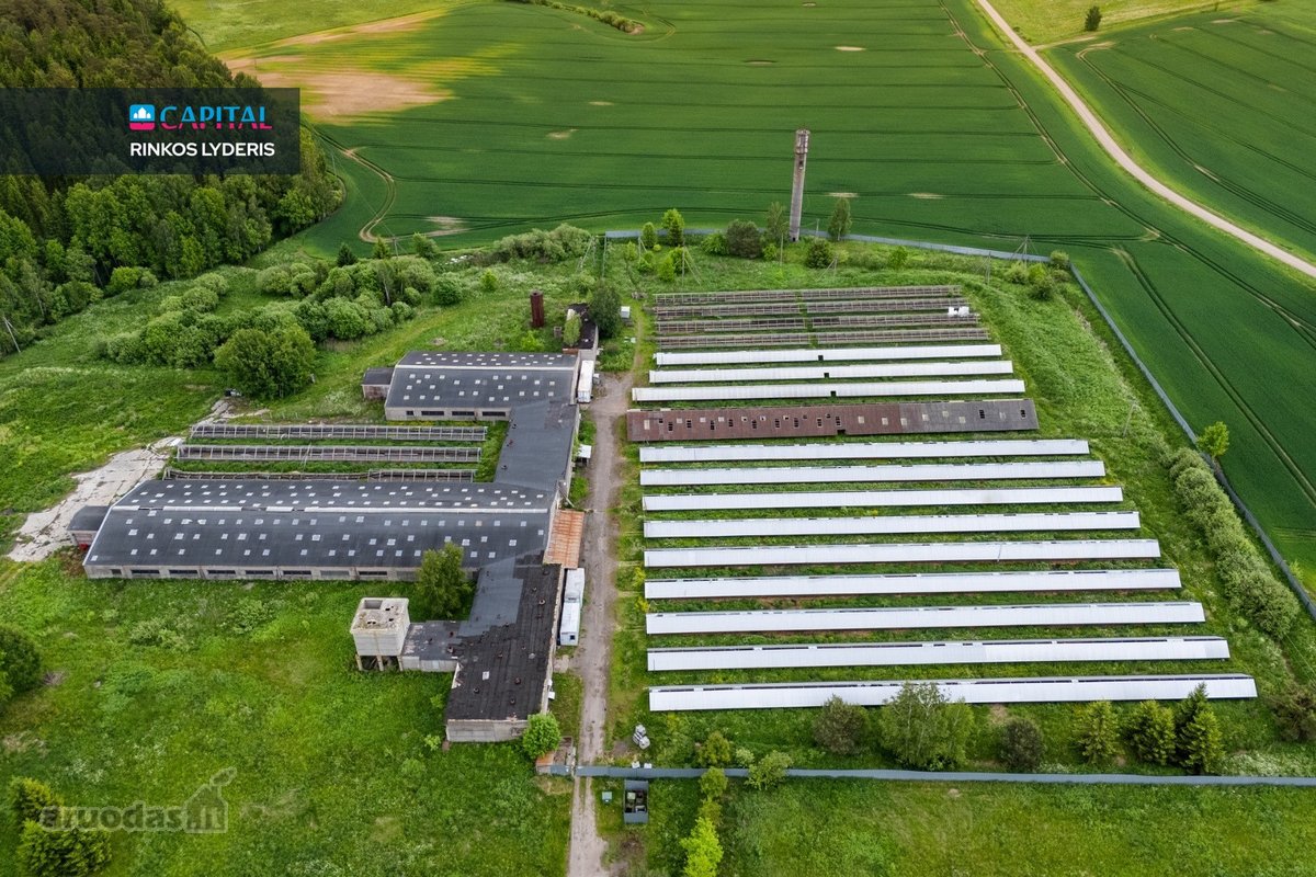 Parduodamas 5 ha sklypas su statiniais - 3596 m² - nuotraukos Nr. 16
