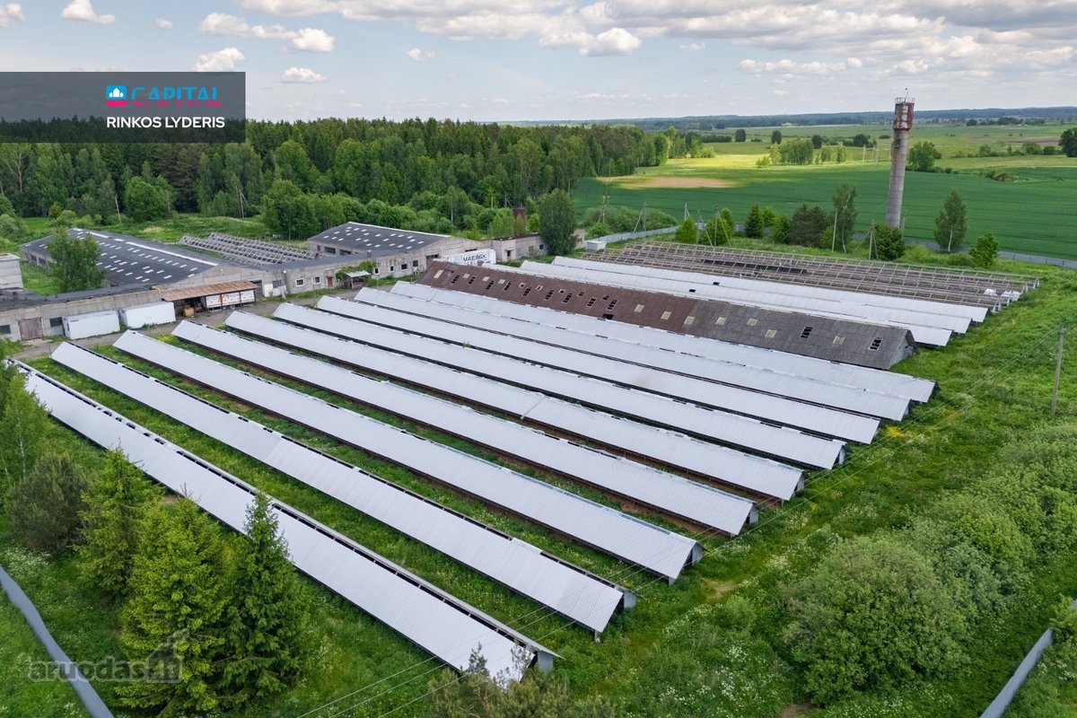 Parduodamas 5 ha sklypas su statiniais - 3596 m² - nuotraukos Nr. 17