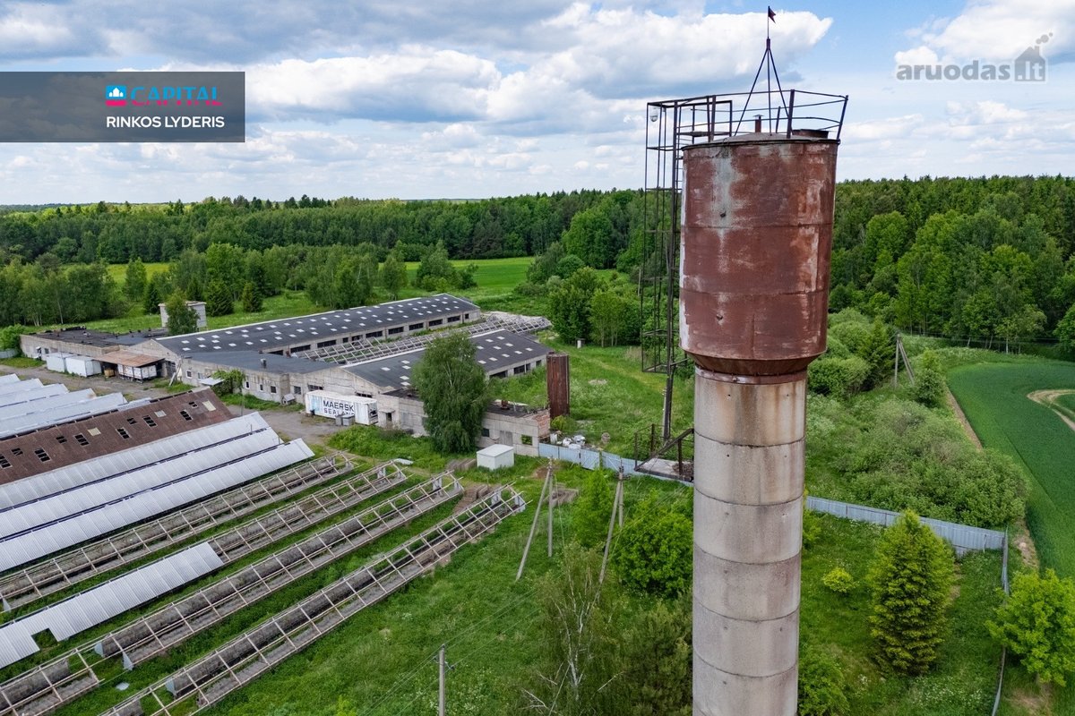 Parduodamas 5 ha sklypas su statiniais - 3596 m² - nuotraukos Nr. 18