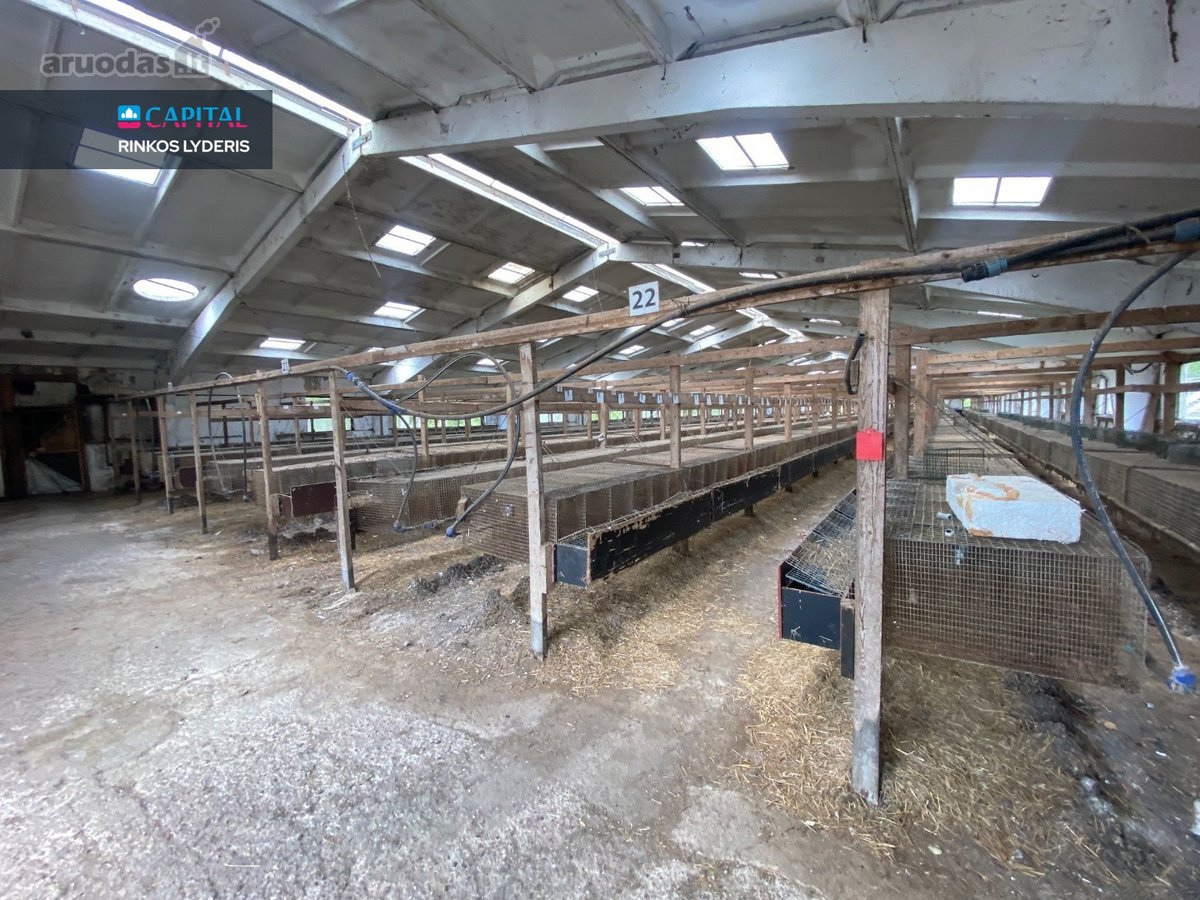 Parduodamas 5 ha sklypas su statiniais - 3596 m² - nuotraukos Nr. 19