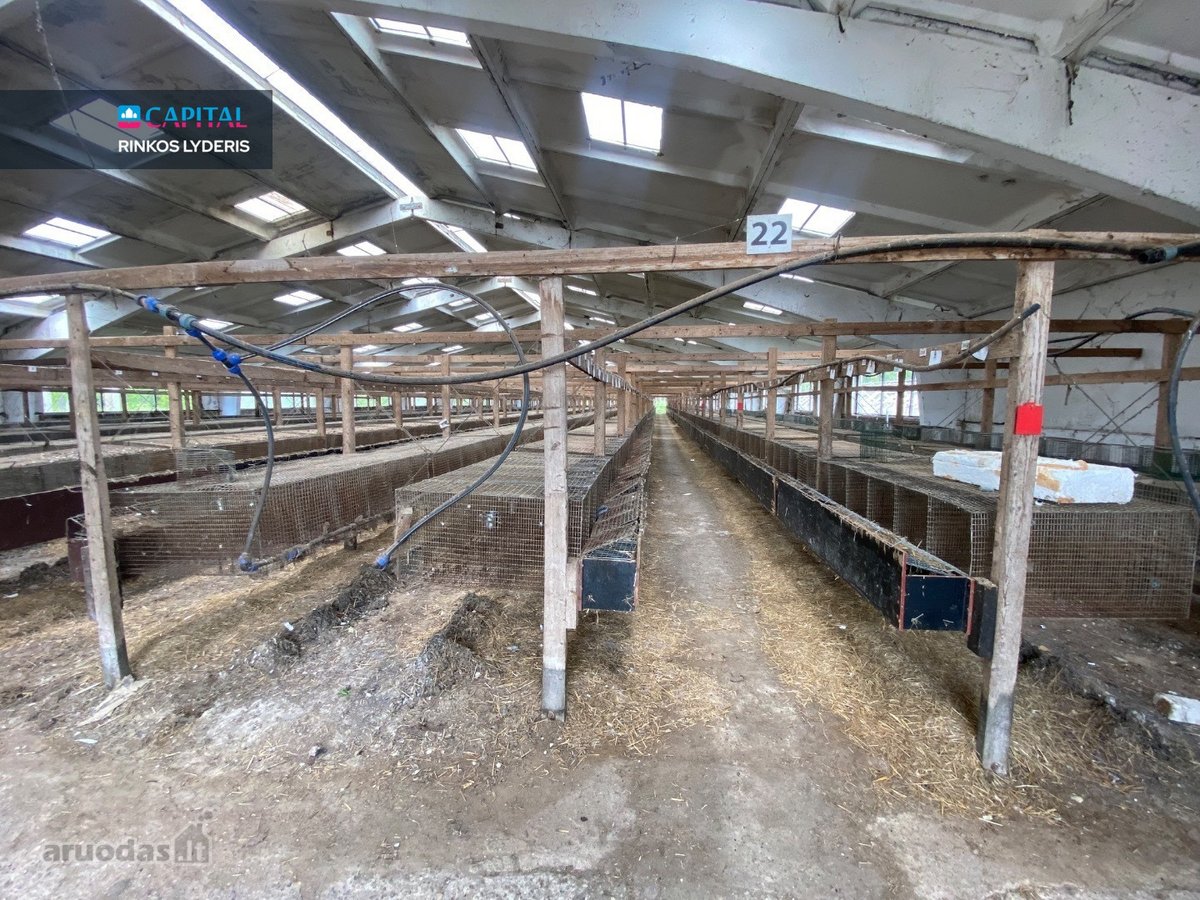 Parduodamas 5 ha sklypas su statiniais - 3596 m² - nuotraukos Nr. 20