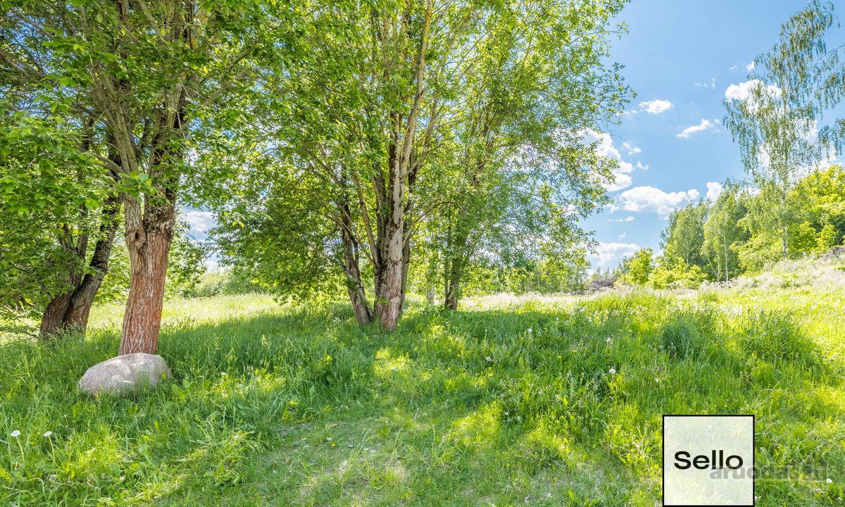  – Nt ekspertai be procentų - nuotraukos Nr. 40