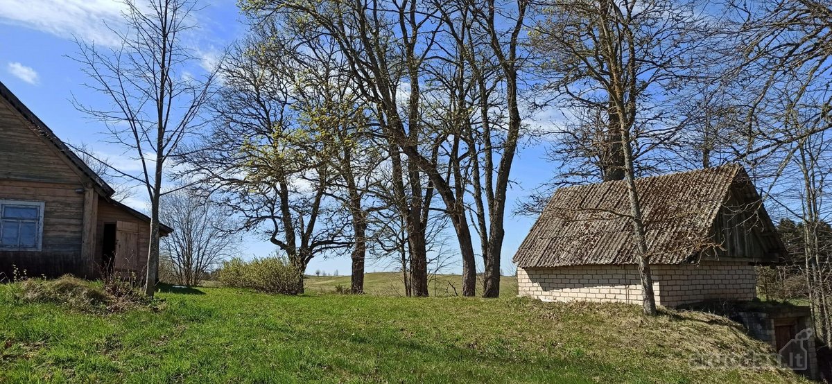 Išskirtinė Sodyba Molėtų Rajone-ramybė,gamta - nuotraukos Nr. 7