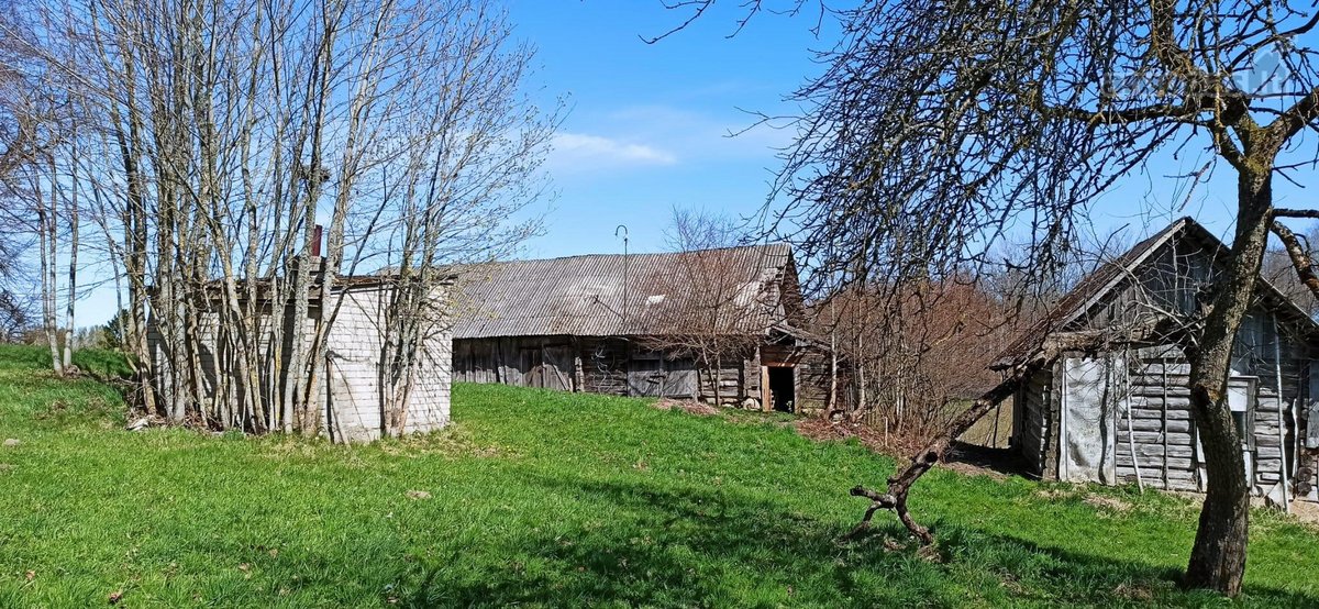 Išskirtinė Sodyba Molėtų Rajone-ramybė,gamta - nuotraukos Nr. 8
