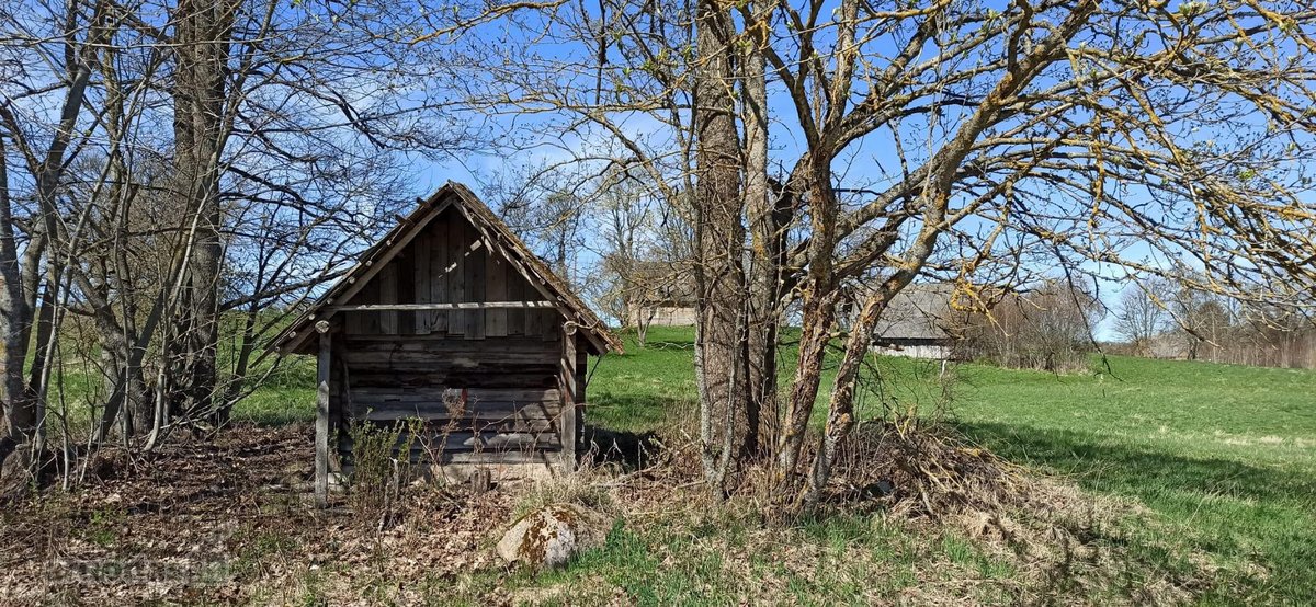 Išskirtinė Sodyba Molėtų Rajone-ramybė,gamta - nuotraukos Nr. 13