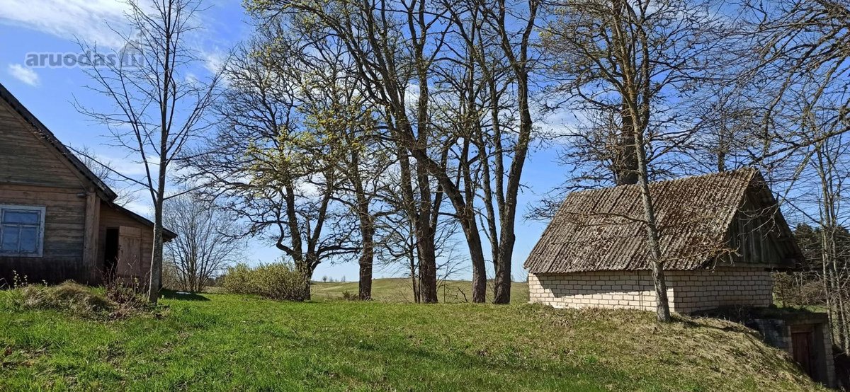 Išskirtinė Sodyba Molėtų Rajone-ramybė,gamta - nuotraukos Nr. 25