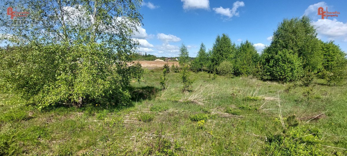 Parduodamas geroje vietoje esantis sklypas - nuotraukos Nr. 4