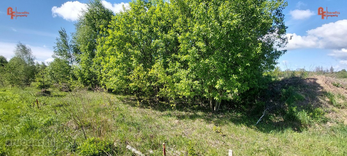 Parduodamas geroje vietoje esantis sklypas - nuotraukos Nr. 3
