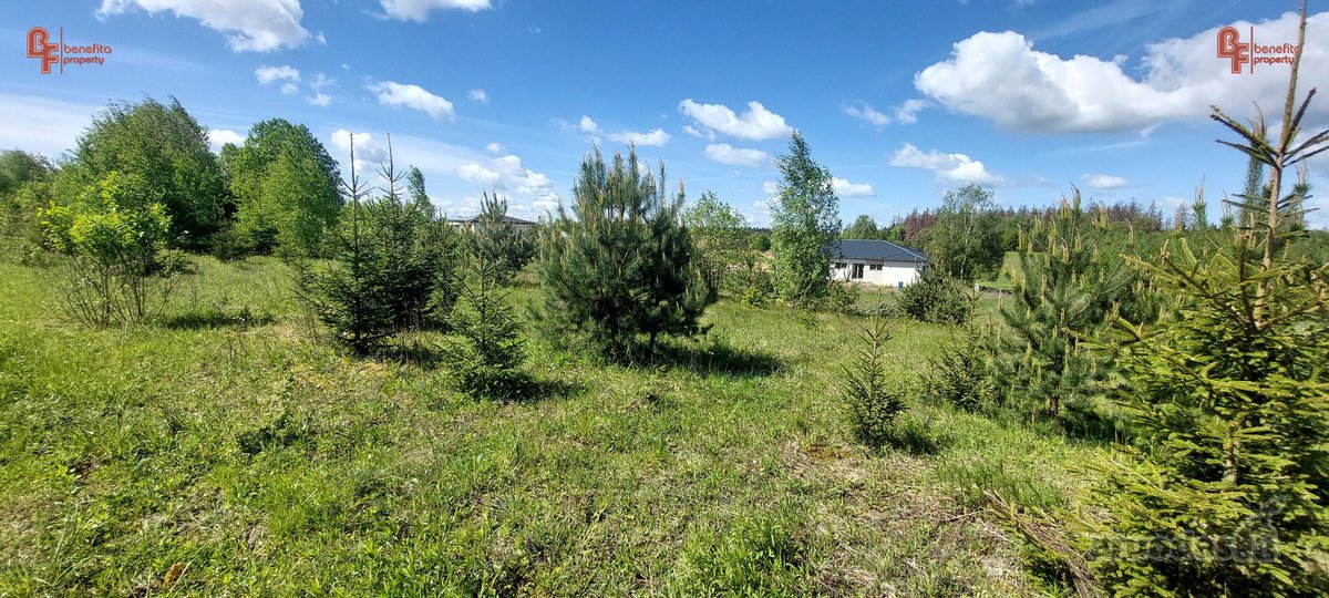 Parduodamas geroje vietoje esantis sklypas - nuotraukos Nr. 12