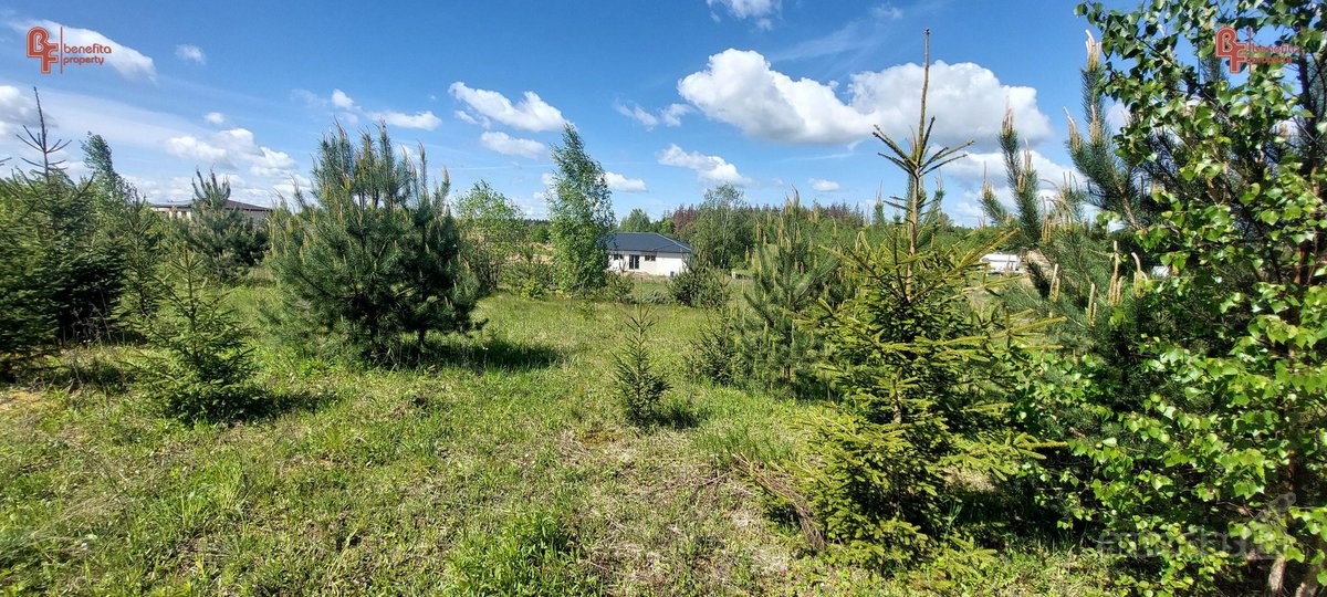 Parduodamas geroje vietoje esantis sklypas - nuotraukos Nr. 11