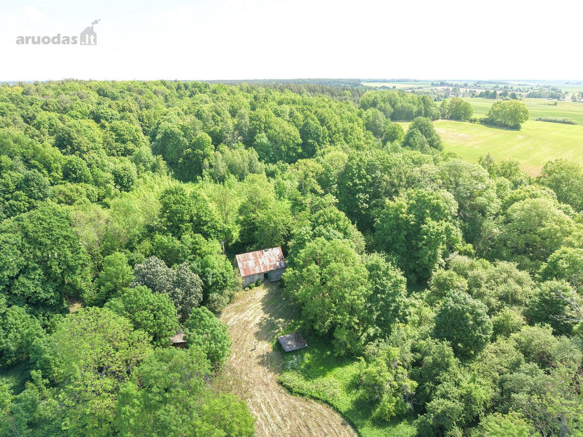 Vienkiemis su 26 ha žemės sklypu – tiems, kas - nuotraukos Nr. 5