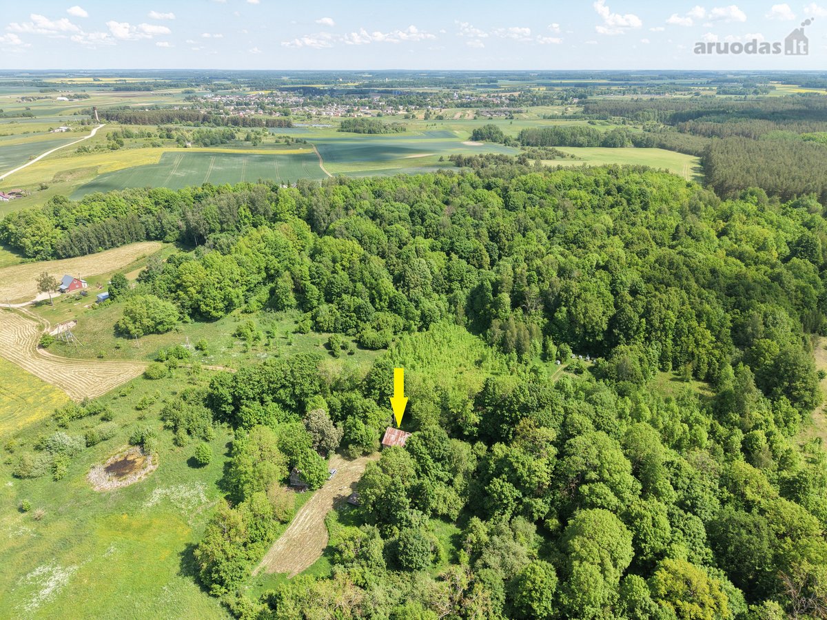 Vienkiemis su 26 ha žemės sklypu – tiems, kas - nuotraukos Nr. 7