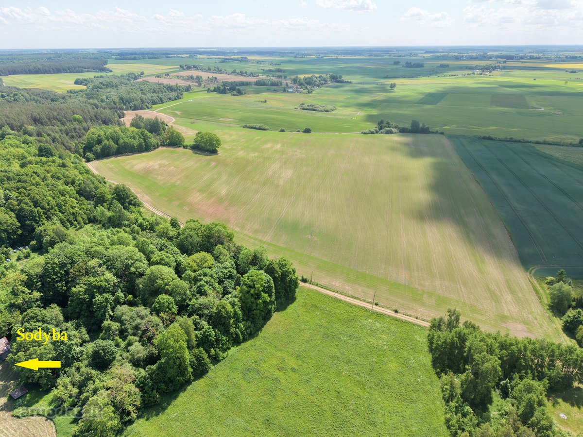 Vienkiemis su 26 ha žemės sklypu – tiems, kas - nuotraukos Nr. 8