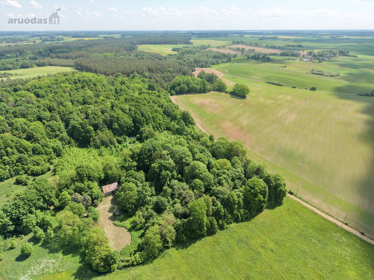 Vienkiemis su 26 ha žemės sklypu – tiems, kas - nuotraukos Nr. 9