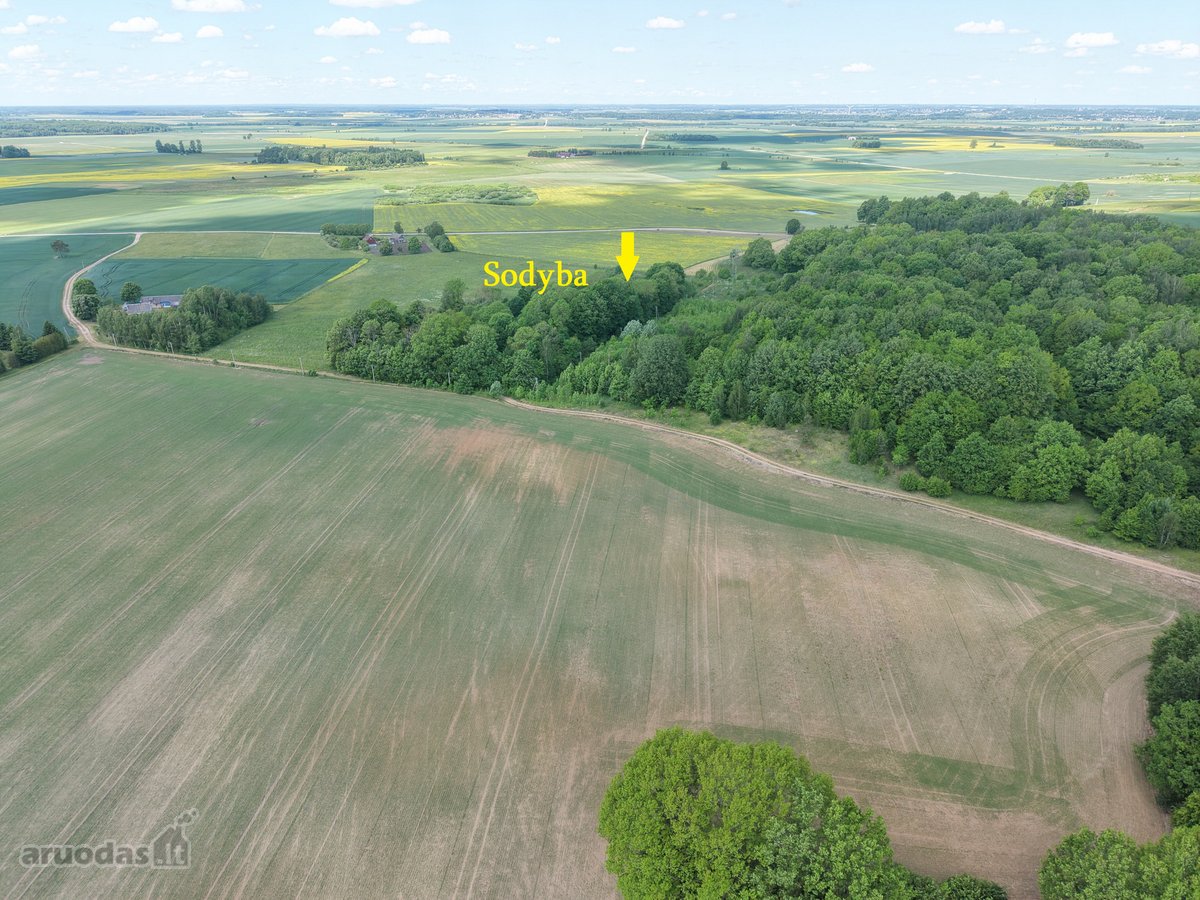 Vienkiemis su 26 ha žemės sklypu – tiems, kas - nuotraukos Nr. 11