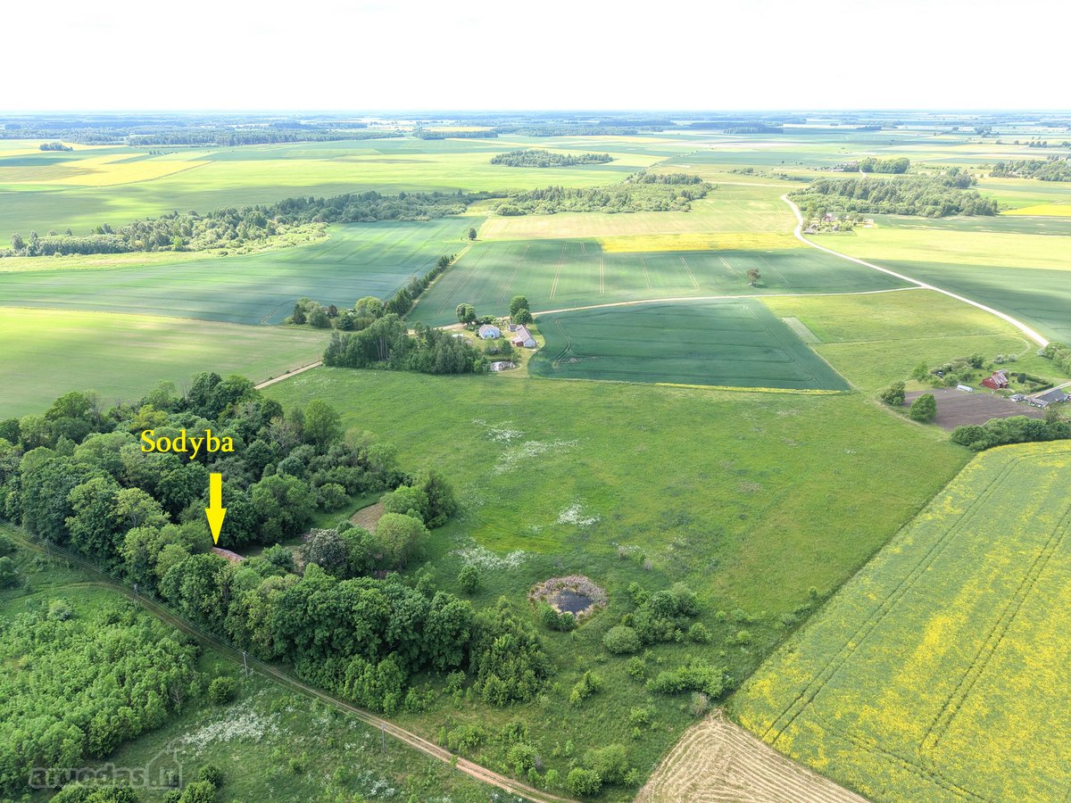 Vienkiemis su 26 ha žemės sklypu – tiems, kas - nuotraukos Nr. 12