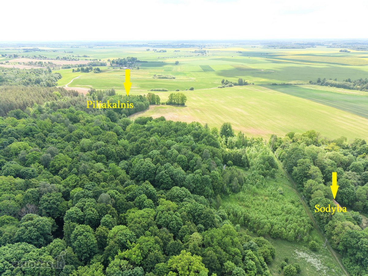 Vienkiemis su 26 ha žemės sklypu – tiems, kas - nuotraukos Nr. 13