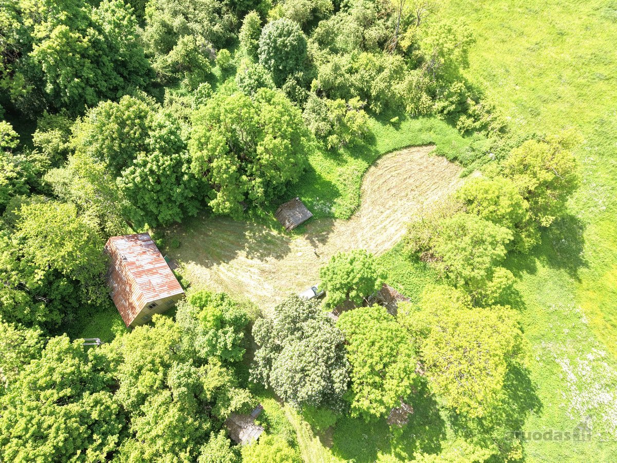 Vienkiemis su 26 ha žemės sklypu – tiems, kas - nuotraukos Nr. 6