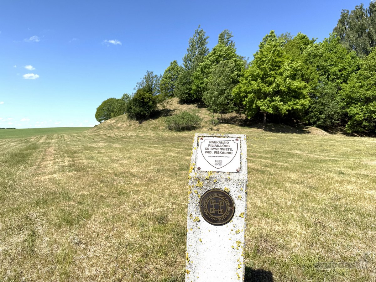 Vienkiemis su 26 ha žemės sklypu – tiems, kas - nuotraukos Nr. 18