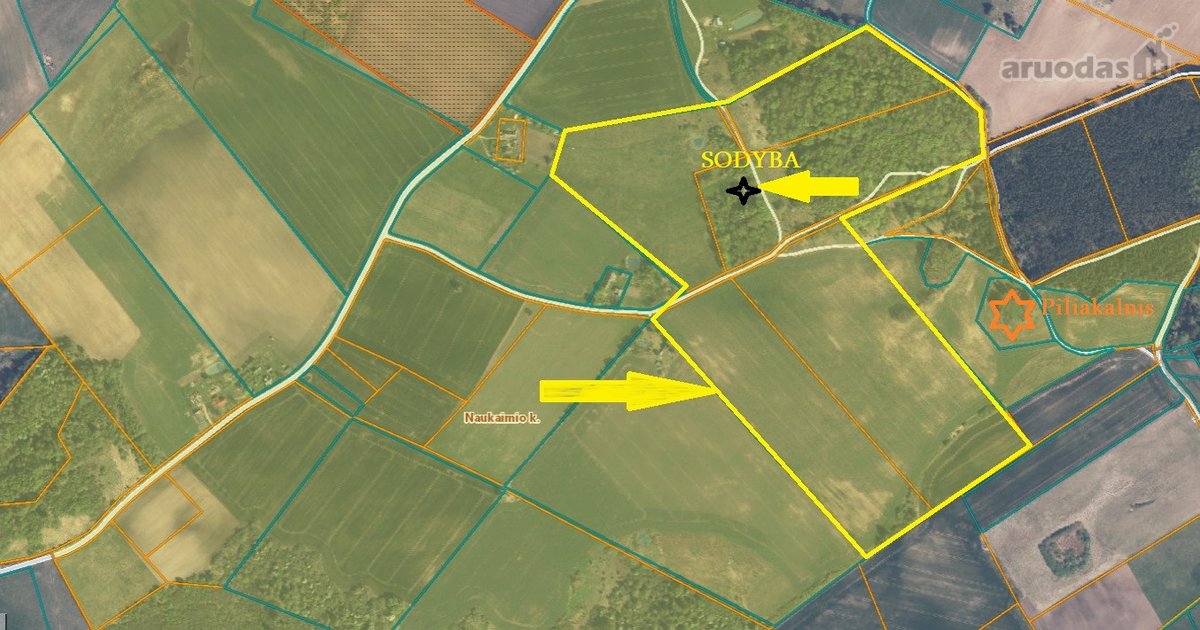 Vienkiemis su 26 ha žemės sklypu – tiems, kas - nuotraukos Nr. 4